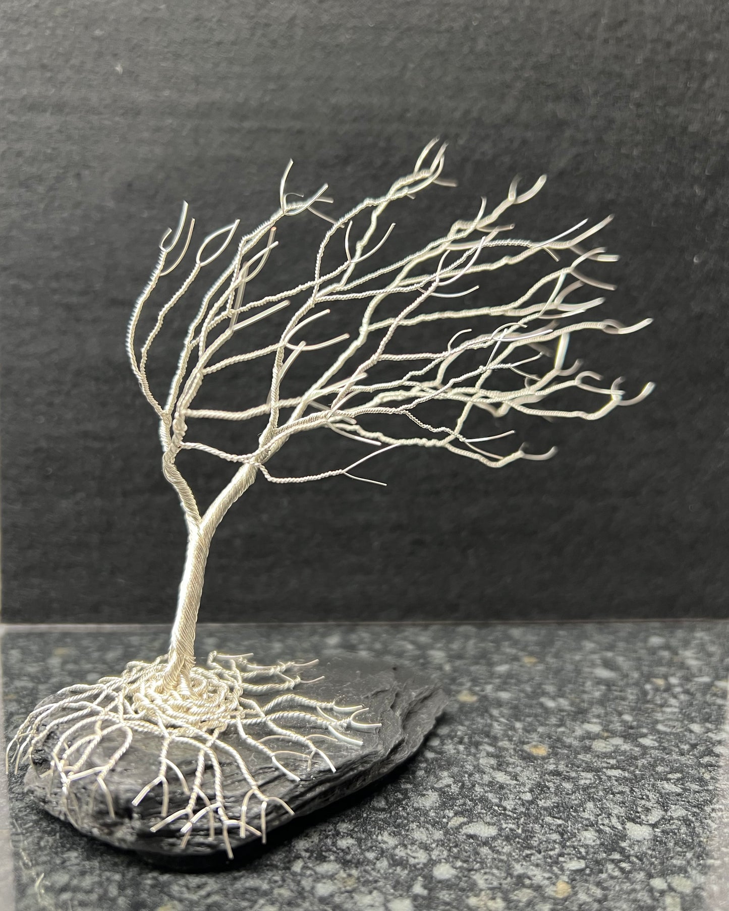 Windswept Celtic Tree Sculpture - Silver (plated) on Pebble- Medium