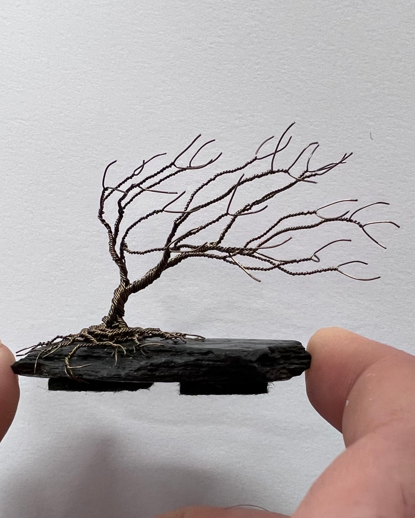 Windswept Celtic Tree Sculpture - Gunmetal on Slate - Small