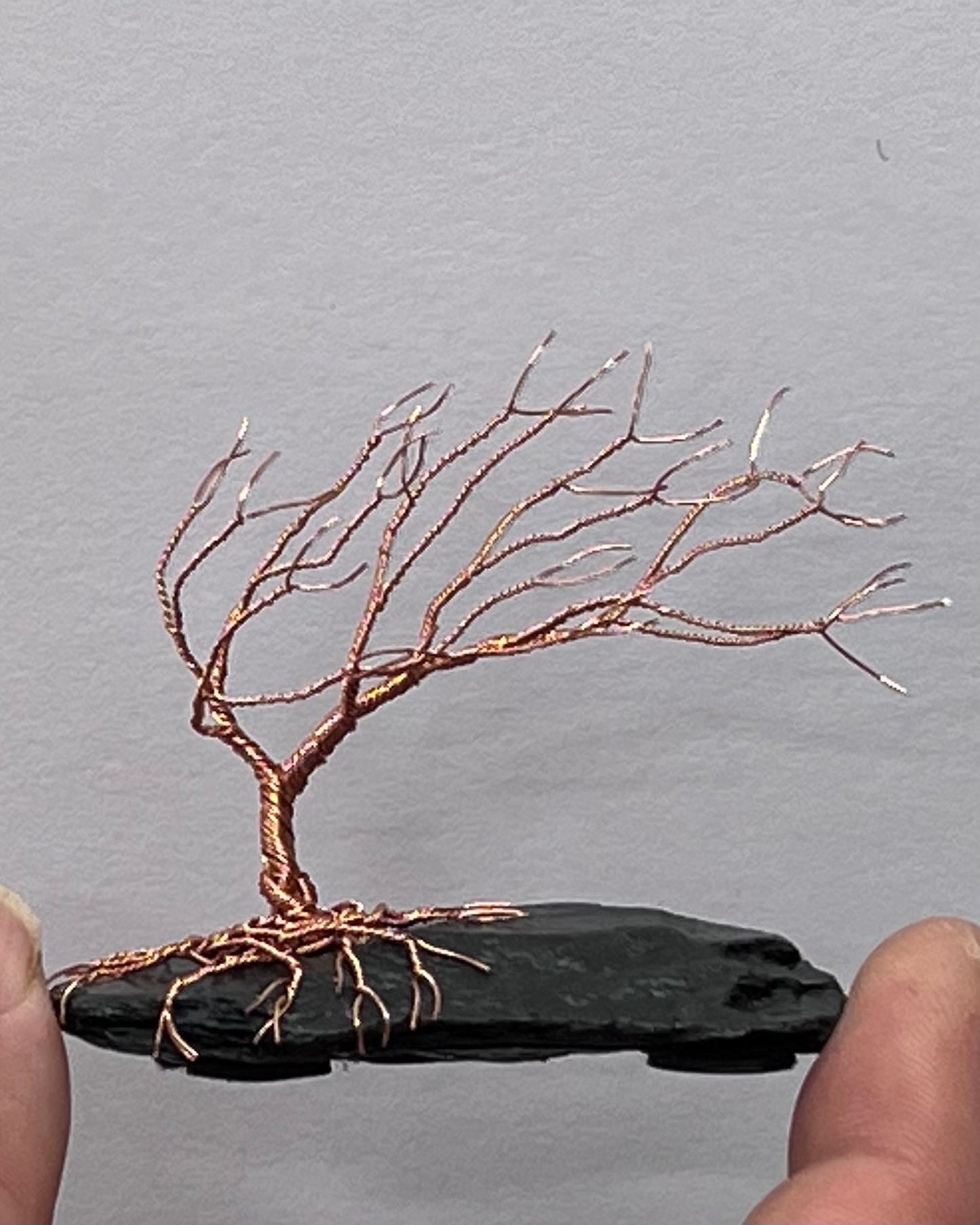 Windswept Celtic Tree Sculpture - Copper on Slate - Small