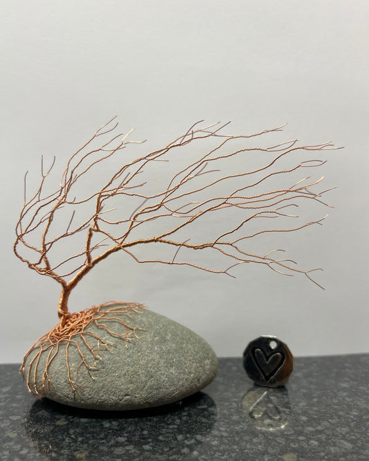 Windswept Celtic Tree Sculpture - Copper on Pebble - Medium