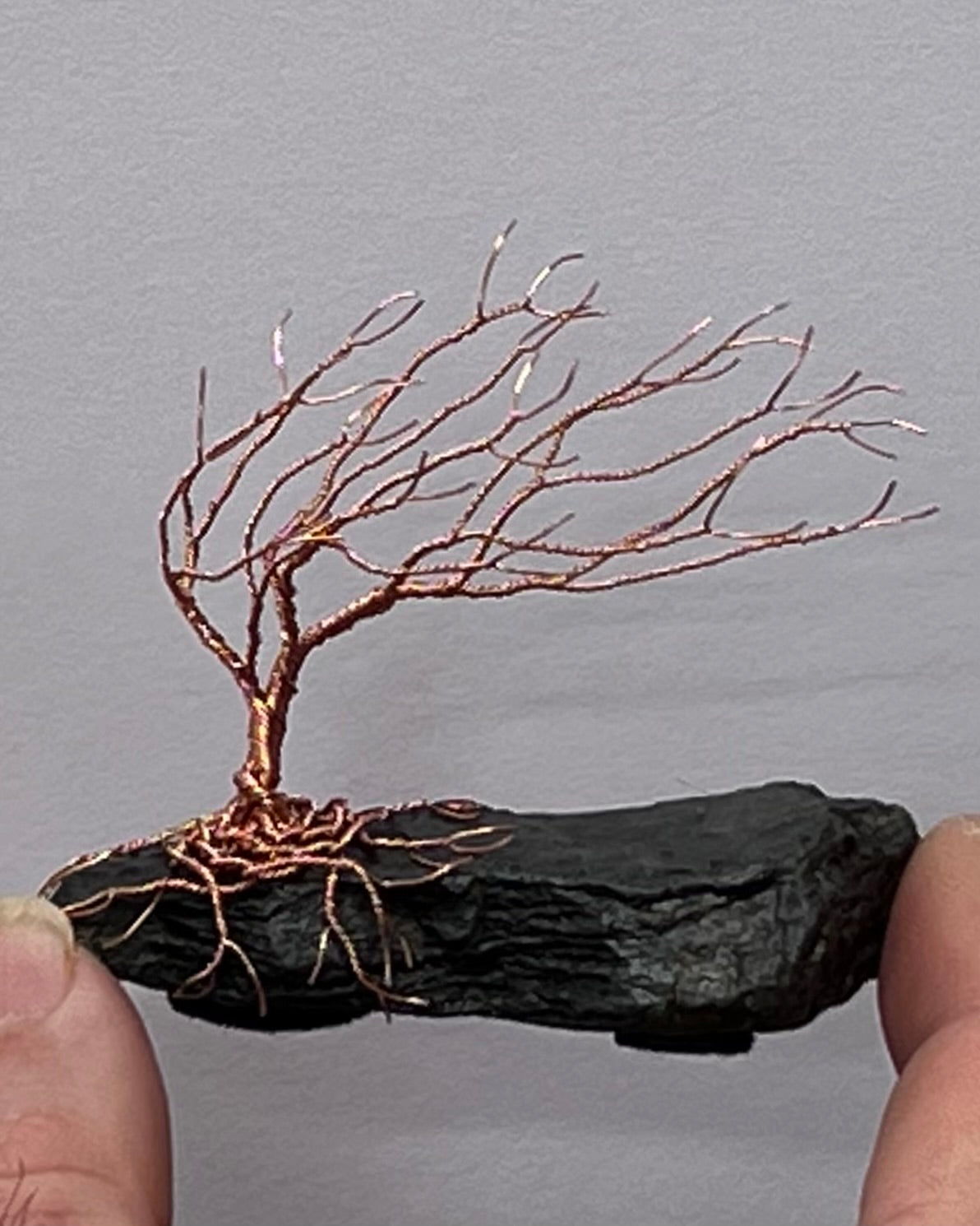 Windswept Celtic Tree Sculpture - Copper on Slate - Small