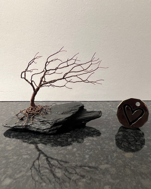 Windswept Celtic Tree Sculpture - Gunmetal on Slate - Small