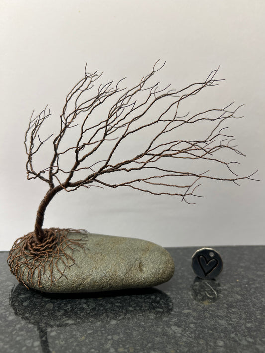 Windswept Celtic Tree Sculpture - Antique Copper on Pebble - Medium Plus