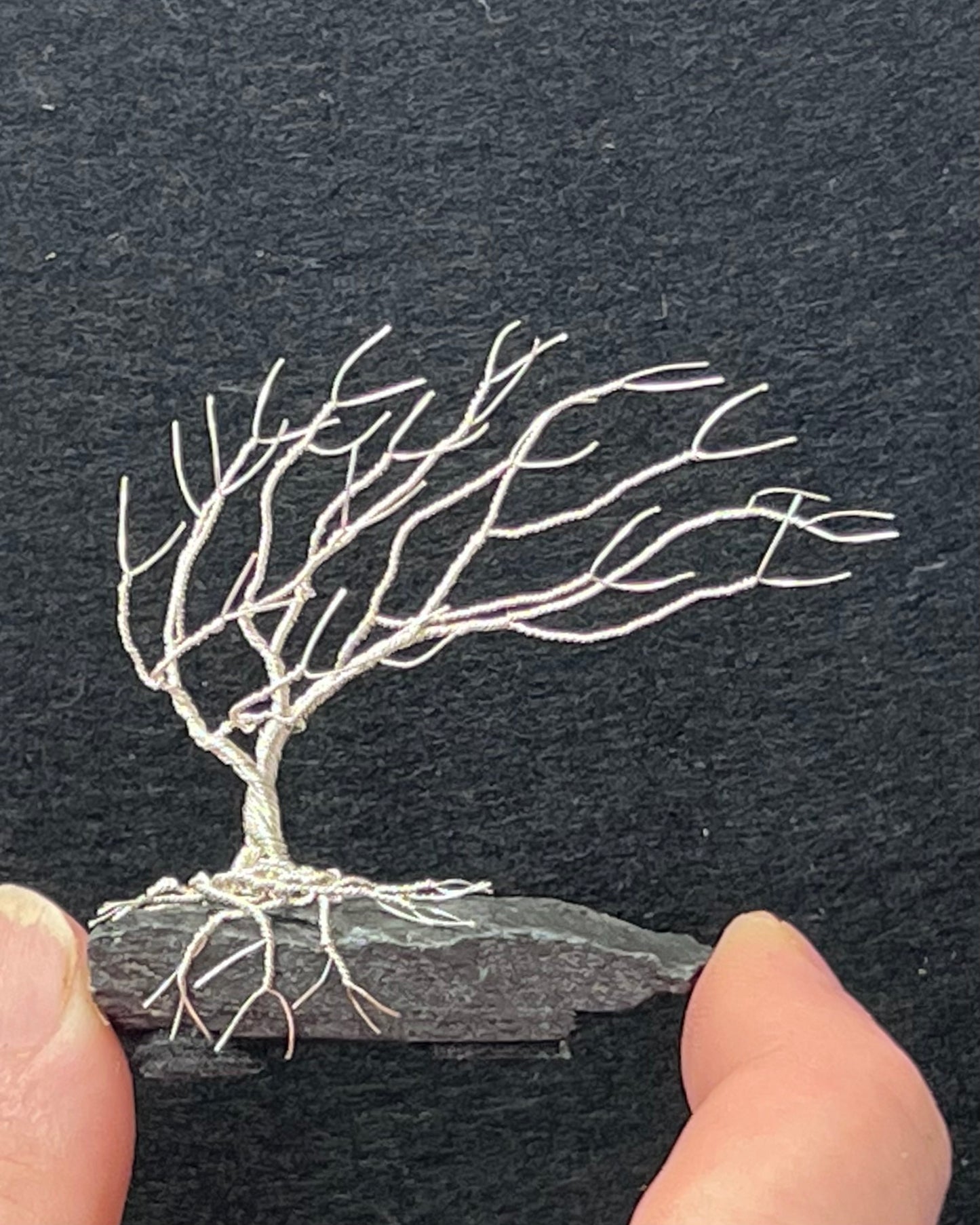 Windswept Celtic Tree Sculpture - Silver (plated) on Slate - Small