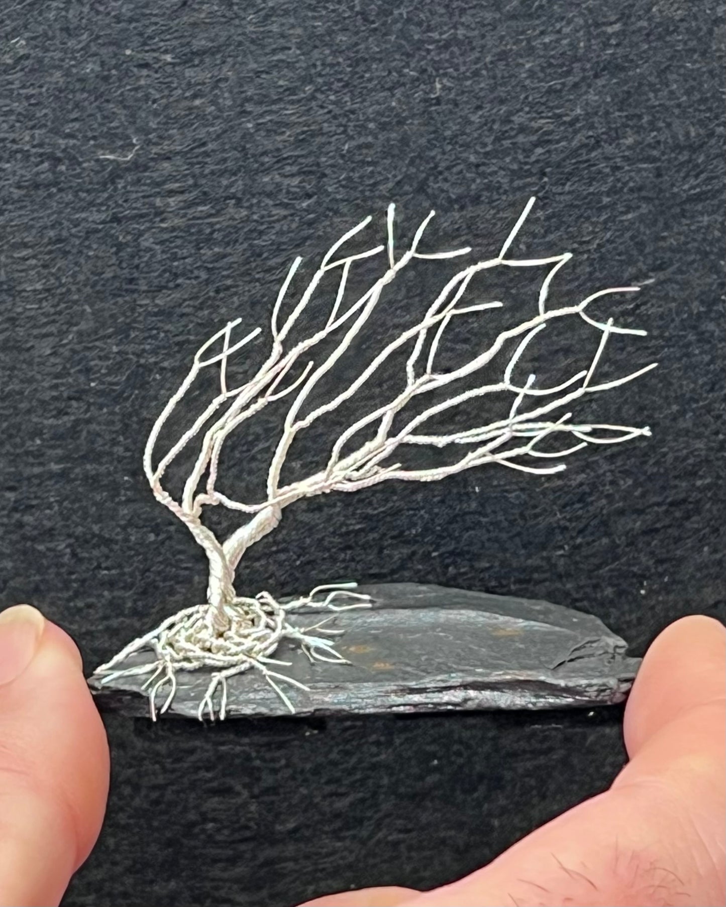 Windswept Celtic Tree Sculpture - Silver (plated) on Slate - Small