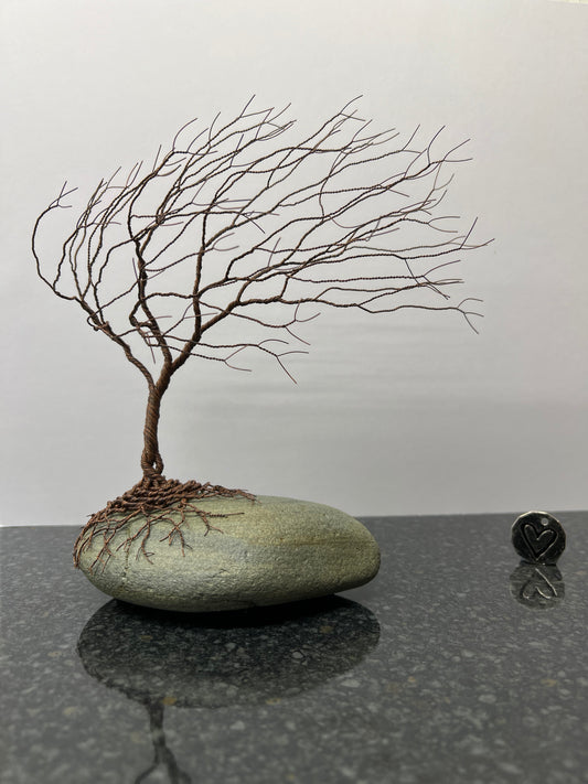 LARGE WINDSWEPT IN ANTIQUE COPPER ON PEBBLE