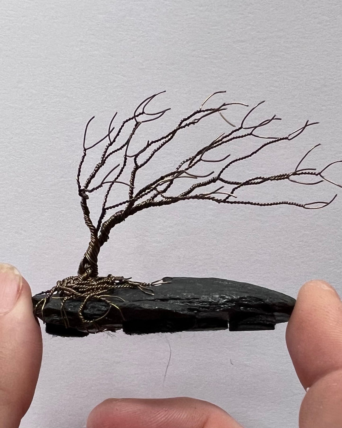 Windswept Celtic Tree Sculpture - Gunmetal on Slate - Small